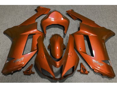Arancio Tigre 07-08 Kawasaki ZX6R Carena