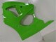 Migliori Carena Moto Kawasaki ZX6R 2000-2002 - Verde Nero