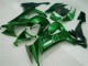 Migliori Carena Moto Kawasaki ZX10R 2008-2010 - Nero Lucido Verde Fiamma