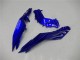 Migliori Carene Moto Kawasaki Ninja 300 EX300R 2013-2017 - Blu Nero Bianco Fiamma