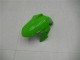 Migliori Carena Moto Kawasaki Ninja 300 EX300R 2013-2024 - Bianco Verde Nero