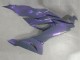 Migliori Carena Moto Kawasaki ZX6R 2019-2022 - Camaleonte Grigio Dazz Viola Perla