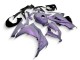 Migliori Carene Moto Kawasaki EX300 2013-2017 - Camaleonte Grigio Dazz Viola Perla