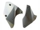 Migliori Carena Moto Kawasaki Ninja H2 2015-2022 - Argento