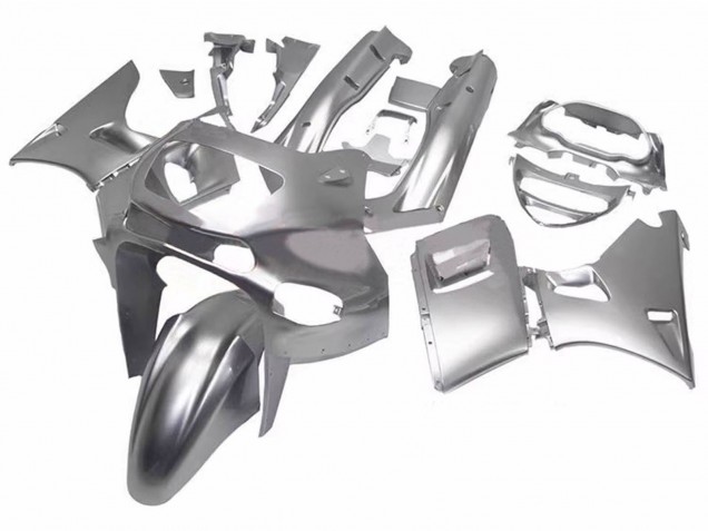 Migliori Carena Moto Kawasaki ZZR600 1998-2003 - Argento