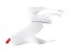 Migliori Carena Moto Ducati Panigale V2 2020-2024 - Bianco Rosso Nero Opaco