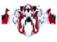 Migliori Carena Moto Ducati Panigale V4 V4S 2018-2019 - Bianco Rosso Verde Nero Lucido