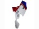 Migliori Carena ABS BMW K1200S 2005-2010 - Bianco Rosso Blu