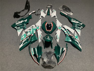 Migliori Carena Moto BMW S1000RR 2017-2018 - Bianco Verde