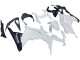 Migliori Carena Moto Kawasaki EX300 2013-2024 - Bianco Nero