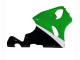 Migliori Carena Moto Kawasaki ZX7R 1996-2003 - Bianco Verde Nero