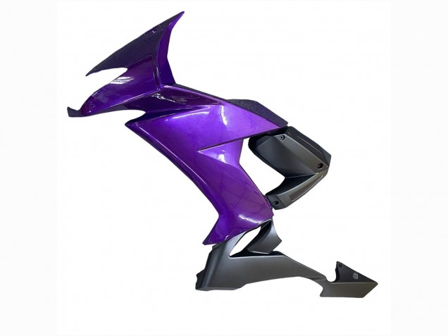 Migliori Carena Moto Kawasaki ZX10R 2008-2010 - Viola Nero