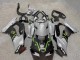 Migliori Carene Moto Kawasaki ZX10R 2021-2026 - Grigio Nero Opaco Verde Bianco Elf Nevicare Mostro