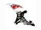Migliori Carena Moto Yamaha YZF 1000 R1 2002-2003 - Bianco Rosso Nero Castrol