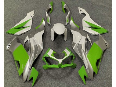 Verde Bianco & Argento 19-23 Kawasaki ZX6R Carena