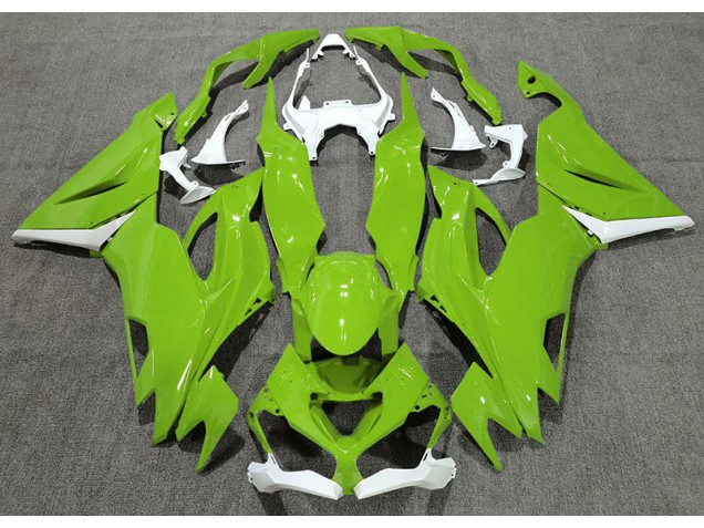 Verde Lucido & Bianco 19-23 Kawasaki ZX6R Carena